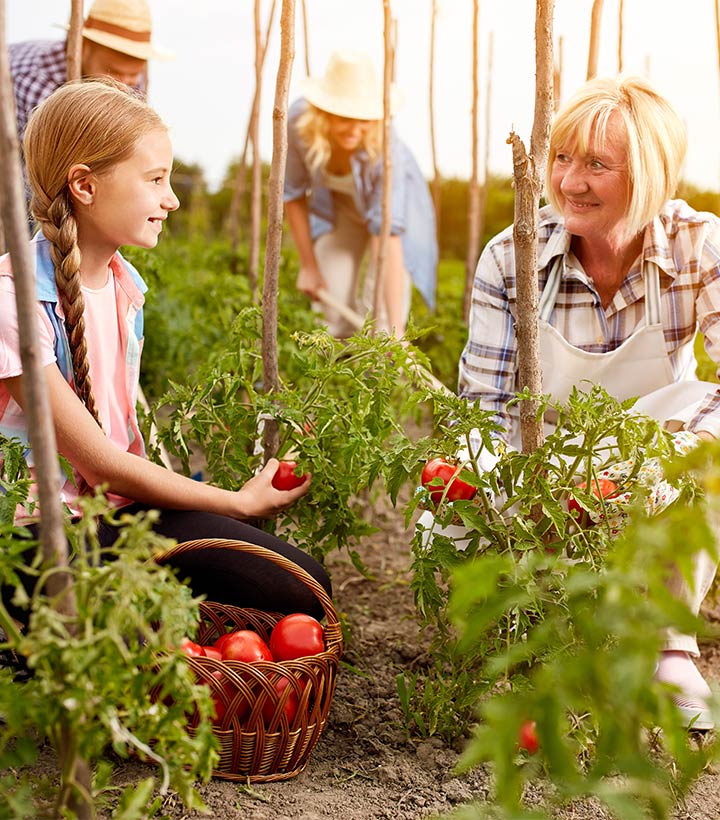 Pour une agriculture plus responsable