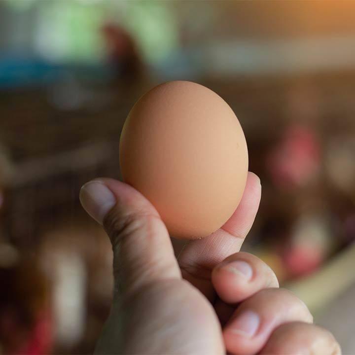 Pour une agriculture de qualité