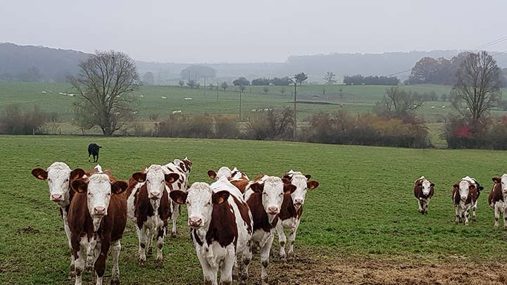 GAEC de la Vaivre